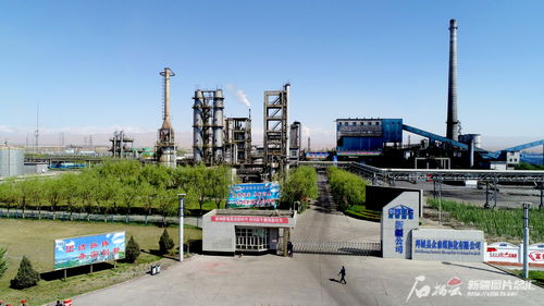 高质量发展调研行 走进阿克苏 一起追 新 逐 绿 解锁美丽阿克苏的n种打开方式