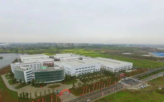 厉害了 三棵树四川生态工业园将打造成世界智能制造 绿色生产标杆园区