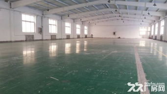 天津西青中北进口商品仓库出租300平米