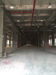 金山工业园区朱泾亭卫公路6万平米可食品医药生物厂房出租分租