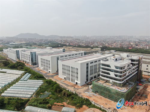 晋江产业集团 全力以赴精准招商 跑出发展 加速度