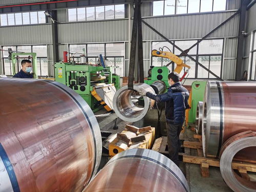 宁波神马集团孵出 金凤凰