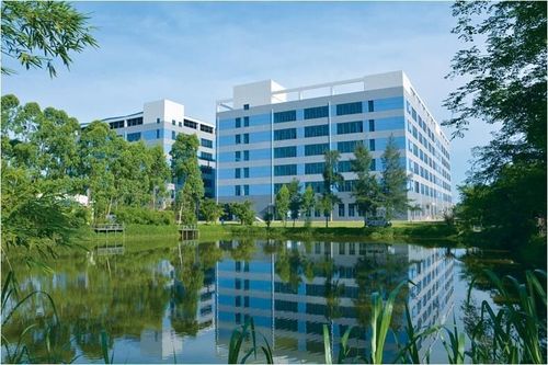 为自贸港作贡献 海南金鹿工业园服务中小企业持续发力