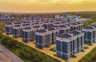 市城投公司高质量 高标准推进棚改项目