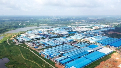 浦北县泉水镇:技术创新添活力 构筑发展新优势