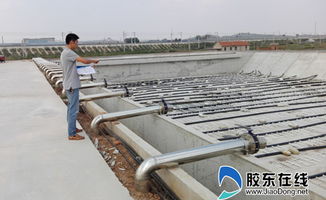 莱阳市食品工业园污水处理厂二期工程正式启用，为绿色发展与产业升级注入新动力